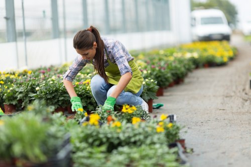 Weed control and border care in a Longford garden