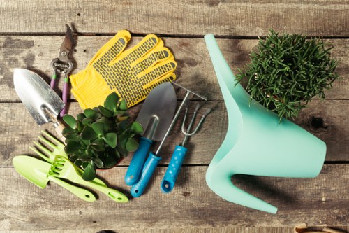 Professional garden maintenance work in Longford on shrubs and hedges
