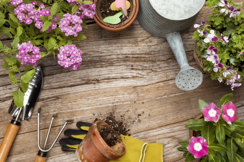 Professional gardening services in Longford maintaining a neat residential garden