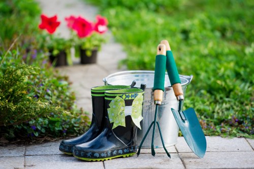 Local gardener providing hedge trimming and lawn care in Longford