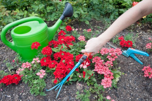 Landscape gardening in Longford with structured planting and lawn design