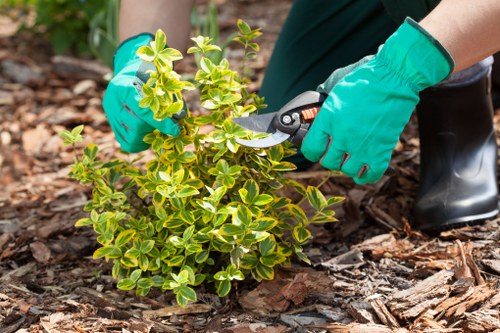 Clean patio and tidy outdoor features as part of Longford garden maintenance