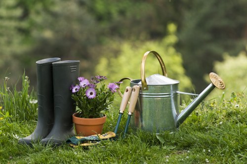 Outdoor landscaping in Longford featuring patios and greenery