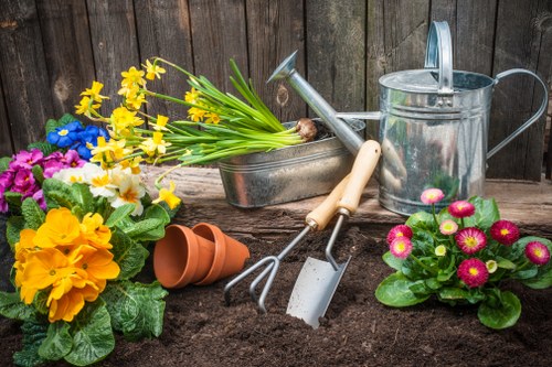 Commercial gardening services in Longford for landscaped outdoor areas