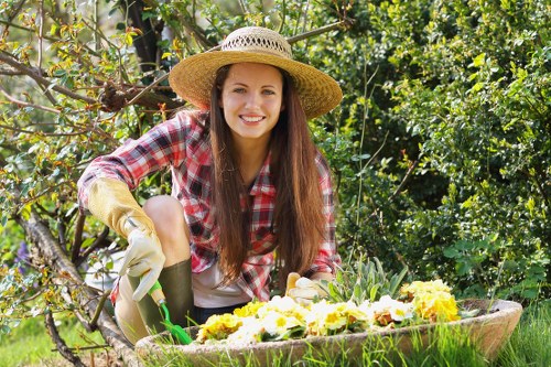 Illustration representing accessible gardening information in Longford