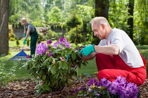 Longford garden lawn care with aeration and overseeding