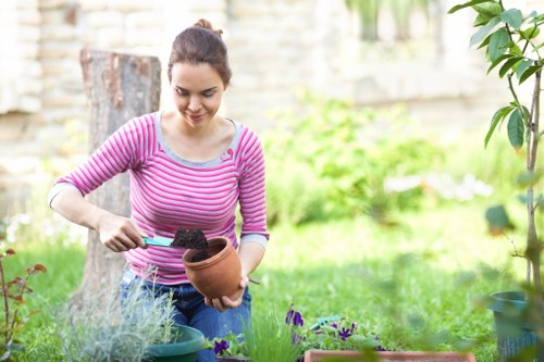 Free quote planning for a Longford garden maintenance service