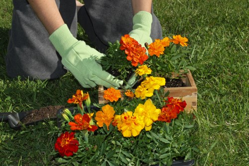 Professional lawn care in Longford for neat, healthy turf