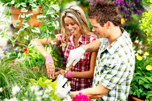 Seasonal lawn maintenance in Longford with mowing and feeding