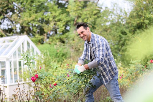 Garden clearance in Longford improving a neglected outdoor space