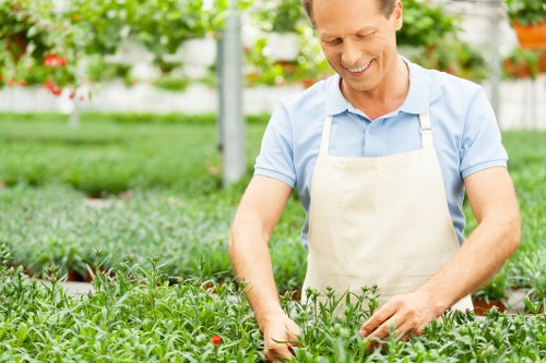 Professional lawn mowing schedule in Longford