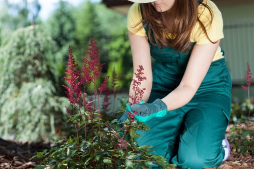 Improving patchy lawn areas in Longford with grass treatment