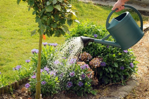Practical garden upkeep and hedge trimming in Longford