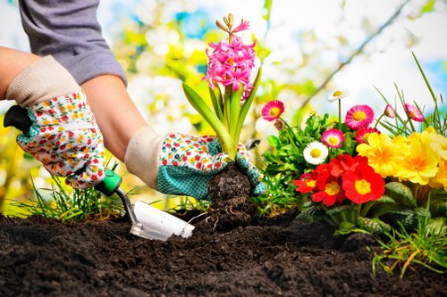 Lawn care and garden upkeep for a home in Longford