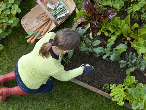 Safe handling practices for gardening tools and equipment