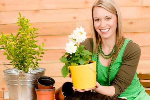 Professional landscaping features in a Longford property