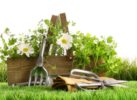 Safe and insured gardening service operating in Longford