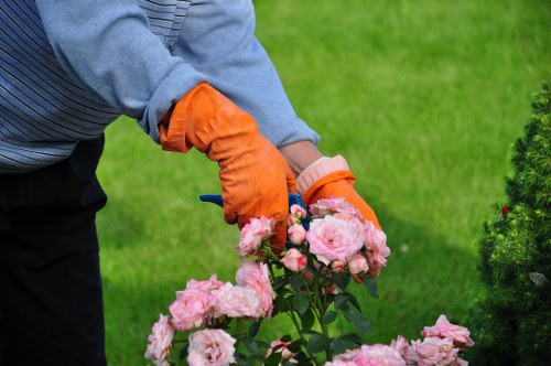 Garden maintenance issue being assessed