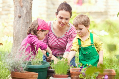 Seasonal garden upkeep in Longford with lawn and planting care