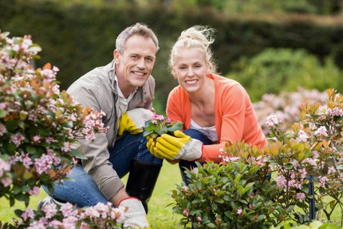 Image symbolising screen-reader friendly garden service content
