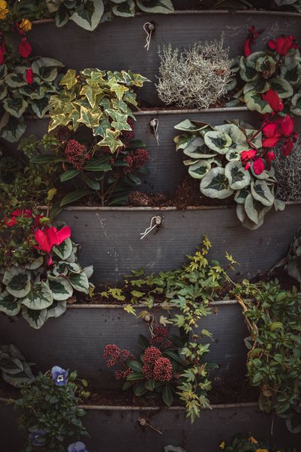 A vertical garden wall featuring multiple layers of dark gray wooden or plastic planter containers, filled with a variety of flowering plants and greenery. The top layer displays a light, wispy, silve