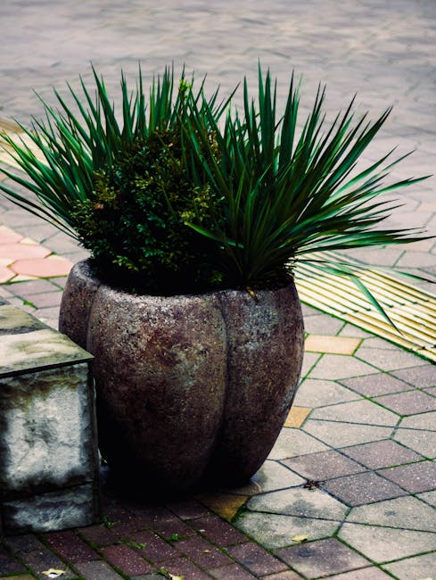 A vertical garden wall featuring multiple layers of dark gray wooden or plastic planter containers, filled with a variety of flowering plants and greenery. The top layer displays a light, wispy, silve